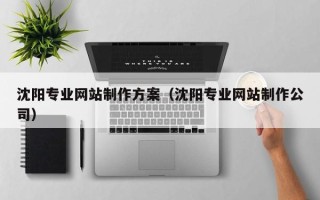 江西沈阳专业网站制作方案（沈阳专业网站制作公司）